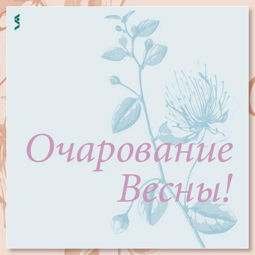 Печать и верстка плакатов 50х50 см