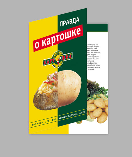 Разработка дизайна и контента для тематического буклета.